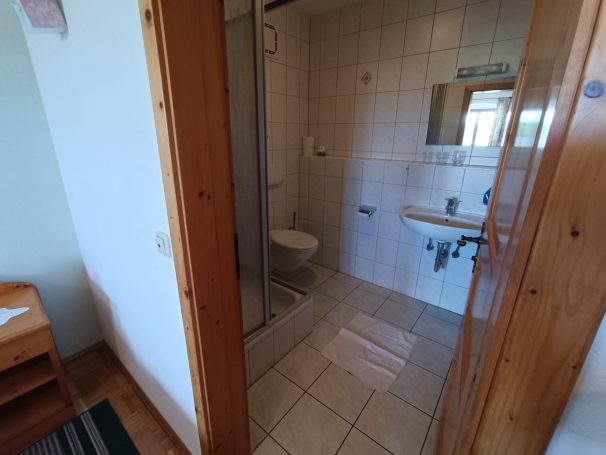 Sauberes Badezimmer mit Dusche, Waschbecken und WC, helle Fliesen.